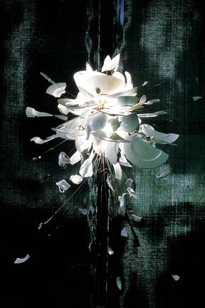 lighting designer sydney