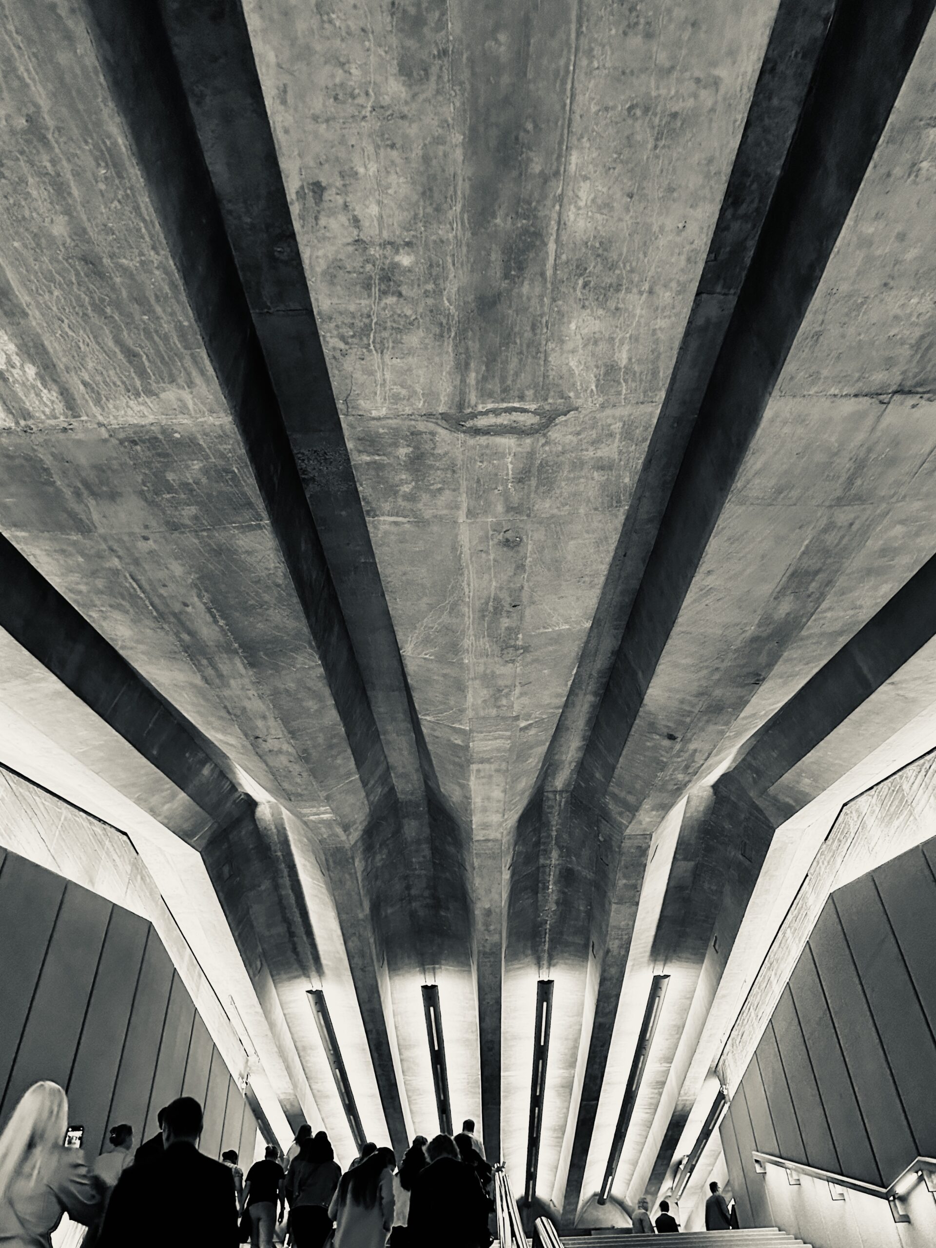 View beneath the Sydney Opera House revealing its iconic concrete ribs and architectural structure.